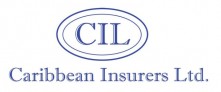 Caribbean Industries Ltd